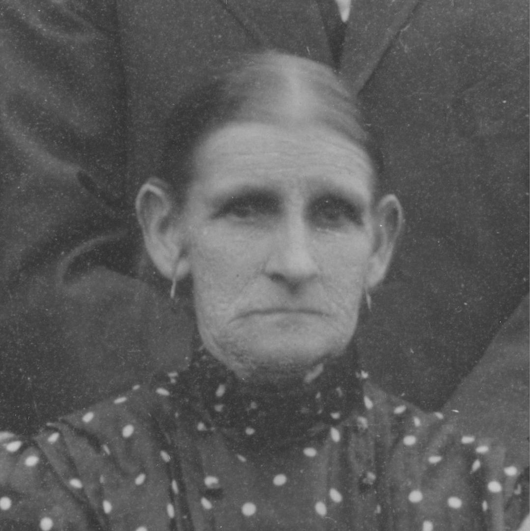 Alice Sutton (1837 - 1917) Profile
